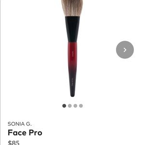Sonia G makeup brush face pro